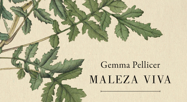 Maleza viva, de Gemma Pellicer, en Cálamo