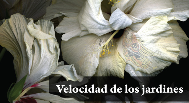 Eloy Tizón presenta Velocidad de los Jardines